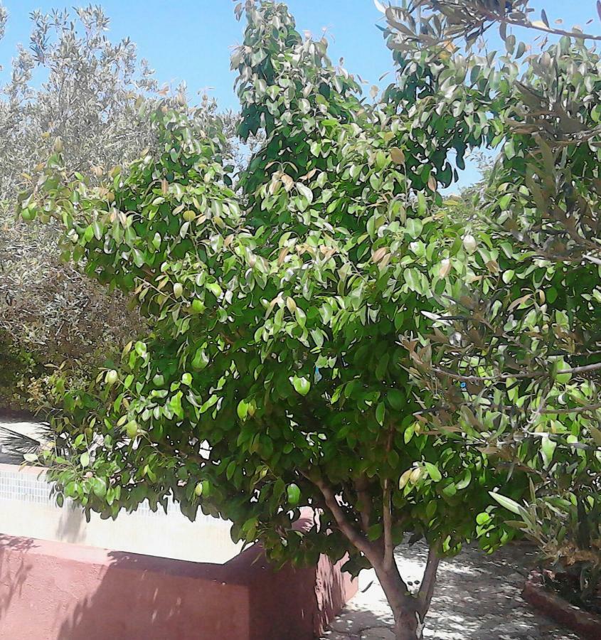 Baglio Del Sole Villa San Vito Lo Capo Bagian luar foto
